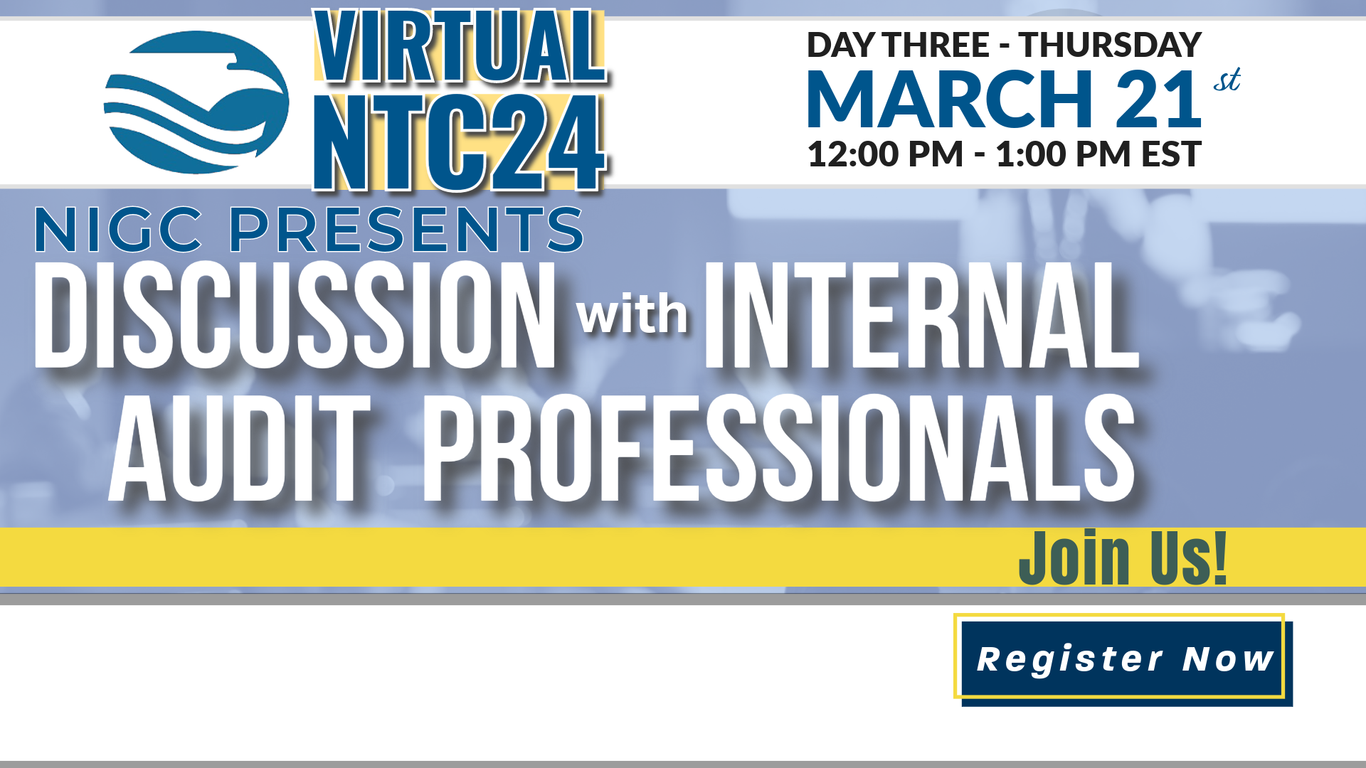 Vitrual NTC24: Panel: Discussion with Internal Audit Professionals