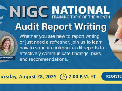 Audit Report Write