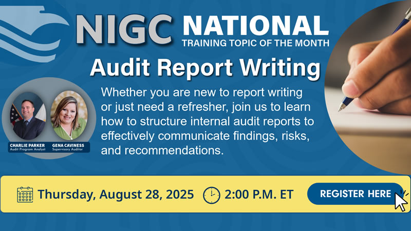 Audit Report Write